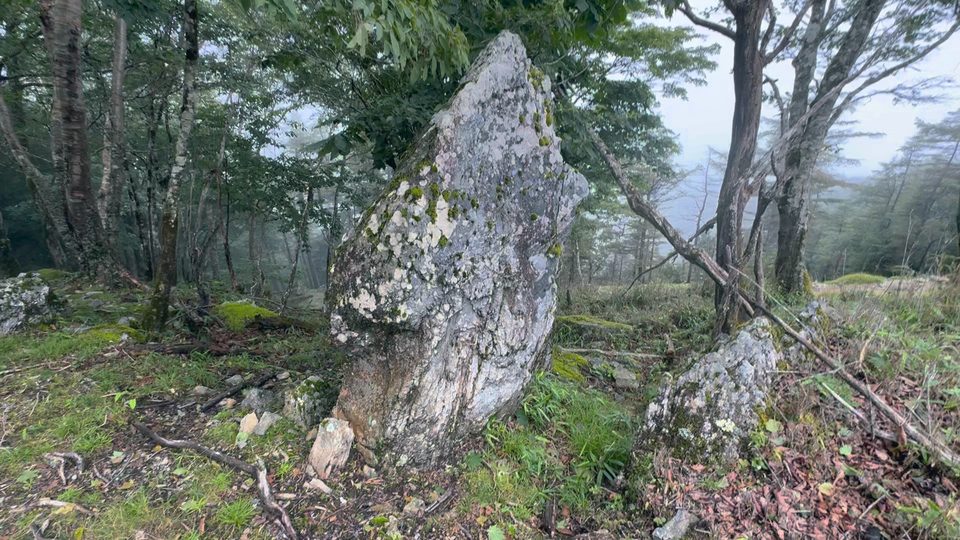 A tall, lichen-streaked standing stone among the trees on a misty ridge.