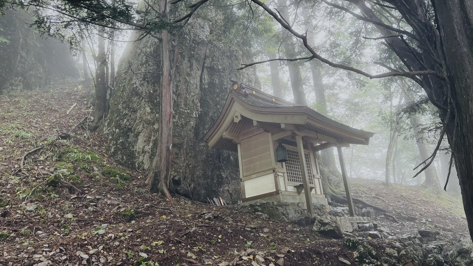 A small wooden shrine under cedars in thick mountain fog.